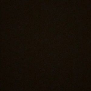 Meet your Posher, Ella